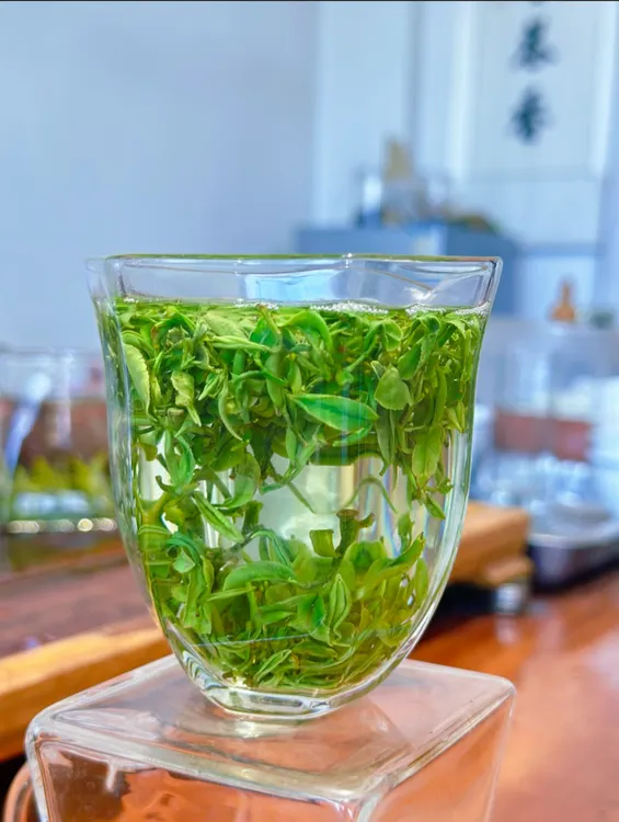 日照绿茶品质新茶耐冲泡鲜香手工豆养茶回甘回甜222