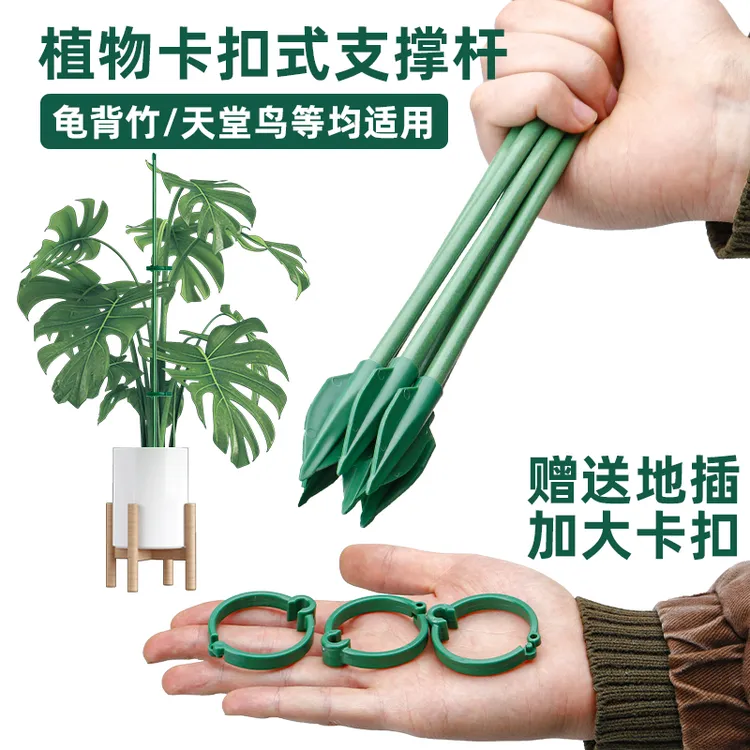 园艺花卉龟背竹支撑杆固定防倒伏支架天堂鸟支架插花专用固定神器