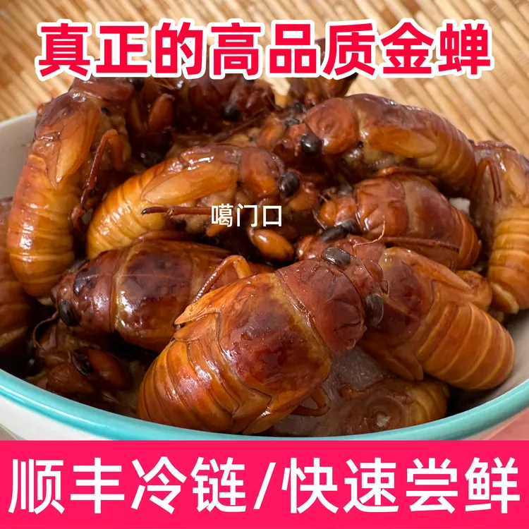 2025年鲜活金蝉知了猴幼虫新鲜现捕抓叉猴爬蚱蚕速冻顺丰包邮
