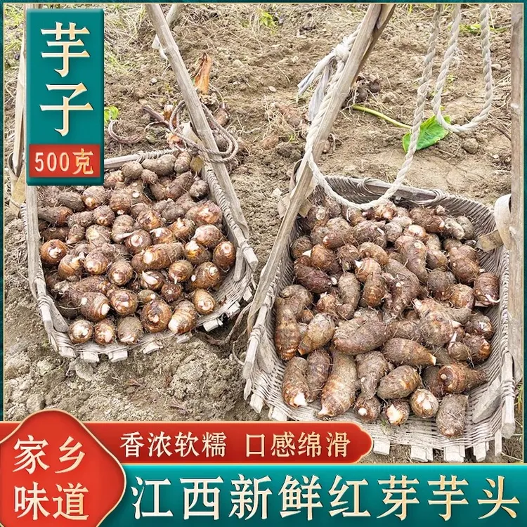 铅山红芽芋头子2025新鲜现挖小毛芋口感软糯香滑江西特产农家自种