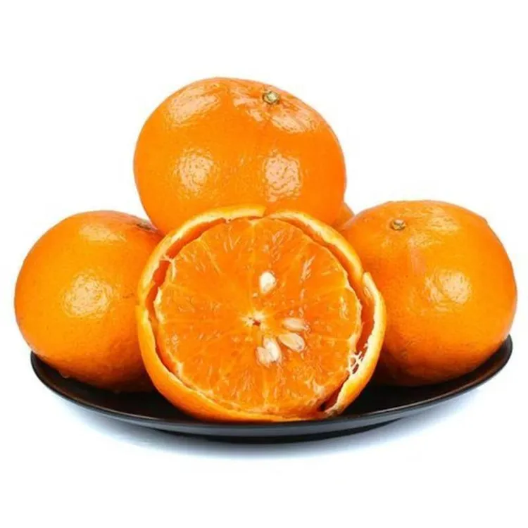广西武鸣沃柑新鲜水果柑橘桔子当季水果沃柑