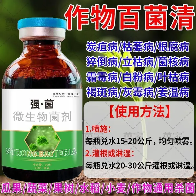 玉米杀菌剂专用药玉米病全治病害全杀黑穗病纹枯病叶斑病茎腐病