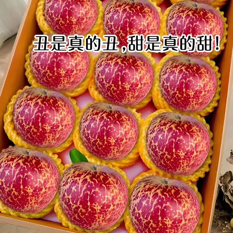 当季云南昭通丑苹果冰糖心新鲜水果红富士现摘现发脆苹果产地直发