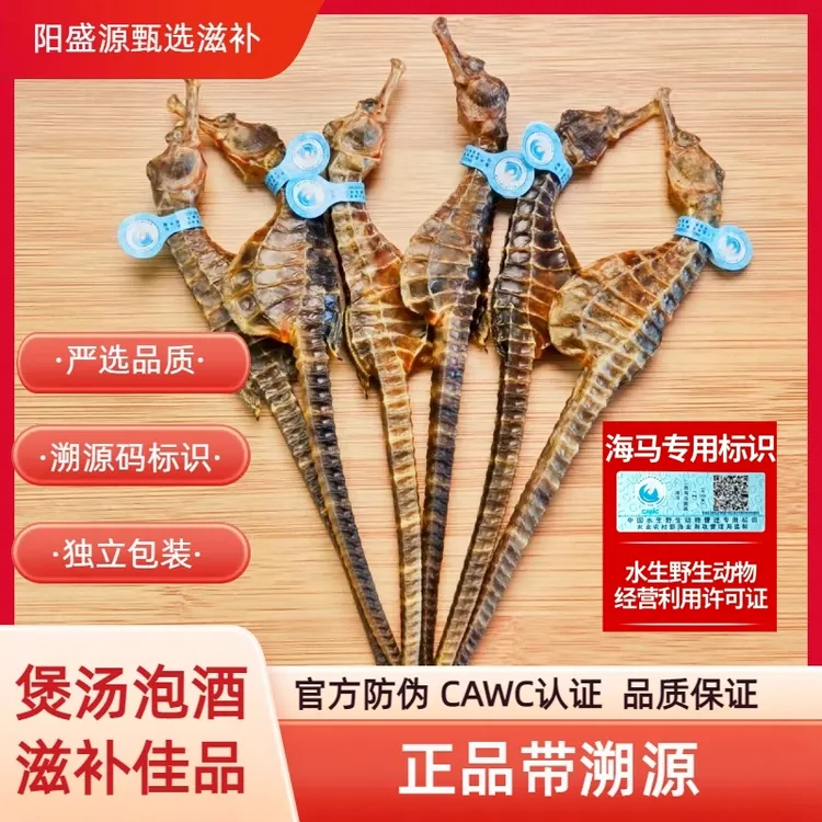 溯源蓝标保真品质海马干货煲汤泡酒海马正品100%海马泡酒海马炖汤