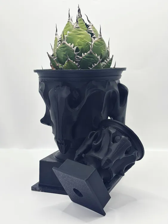 【经典盆器】田口润三狼盆 3d打印块根盆多肉盆日本大师盆器