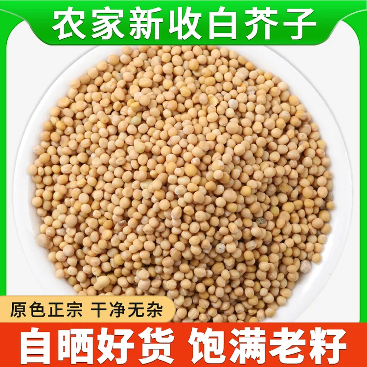 白芥子中药材正品500克精选干货新白芥子茶生白介子芥菜子白芥籽