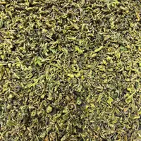 2025年新茶手工黄金芽 鲜爽耐泡豆香浓郁精选绿茶