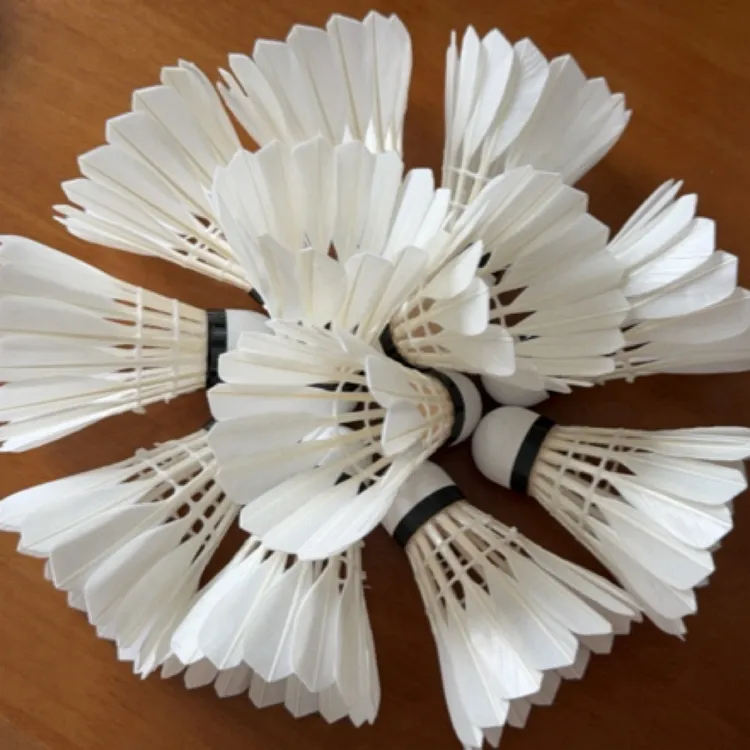 豚鸭单边  耐打王 飞行稳定 适合专业训练  初级比赛用球