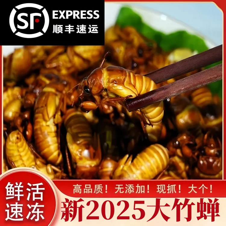 【竹林野生大金蝉】2025新货正宗竹林野生知了猴金蝉白蝉爬叉龟蝉蛹