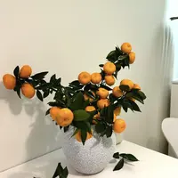 【大橘大利 】鲜切花好养橘枝 鲜花云南基地直发