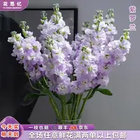 『紫色紫罗兰5枝』家居养花 全场任意满两单鲜花顺丰京东包邮 三单鲜花送玻璃花瓶一个鲜花直播次日达包邮