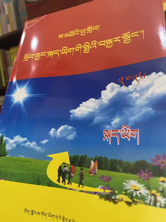 藏语文小升初总复习