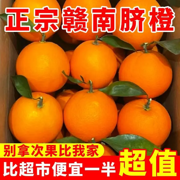 正宗赣南脐橙新鲜现摘应季水果产地直发多汁香甜手剥果冻橙子