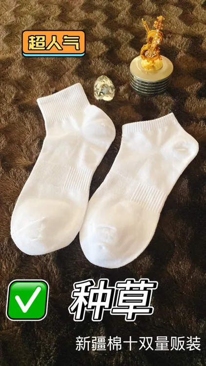 男女款十双四季纯色短筒吸汗透气防臭棉袜五只羊棉袜