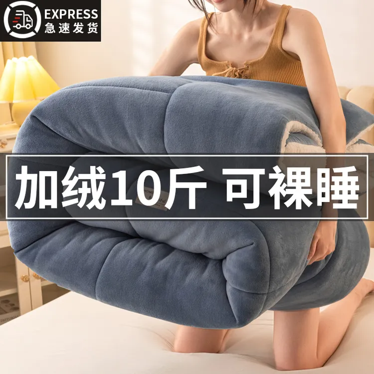 羊羔绒被子秋冬款2025新款冬季棉被被芯宿舍加厚保暖单人被冬天用