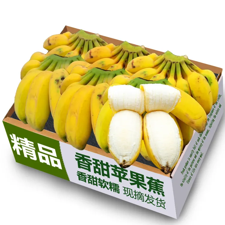 广西农家自种应季新鲜苹果蕉小米蕉皇帝蕉清甜软嫩多汁水果源头