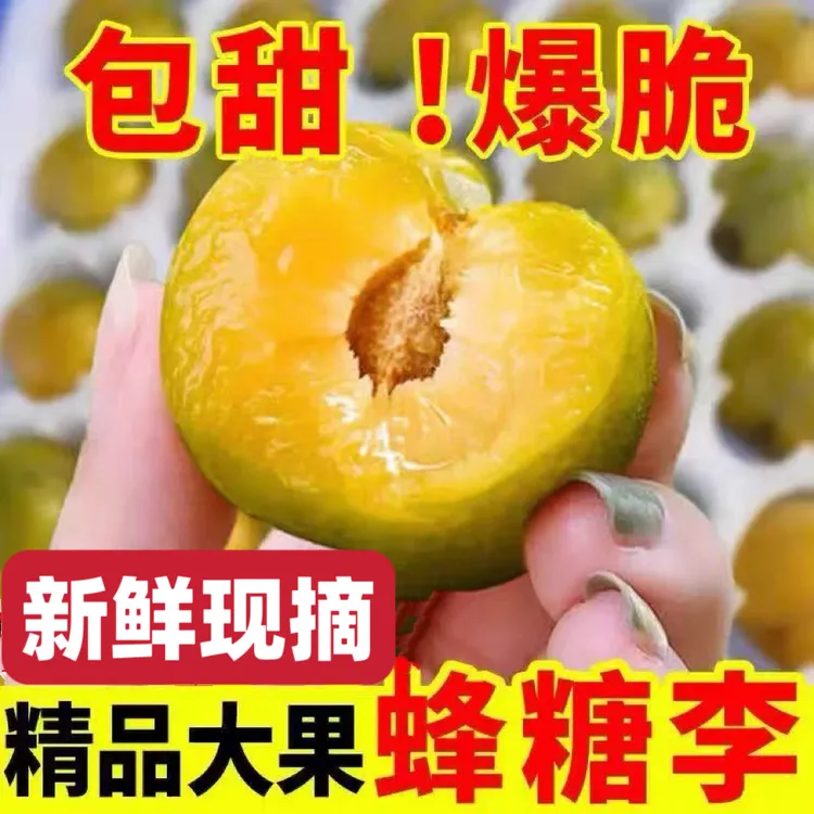 正宗蜂糖李3/5斤 新鲜现摘现发酸甜爽口脱骨孕妇李子