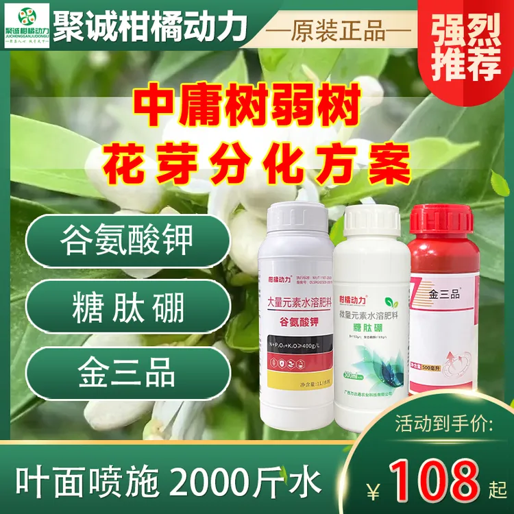 柑橘动力花芽分化方案水溶肥料助力作物生长花多花壮