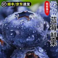 【精品蓝莓】大颗云南蓝莓鲜果新鲜水果19-22mm当季大蓝莓孕妇带盒100g次日达顺丰云南省