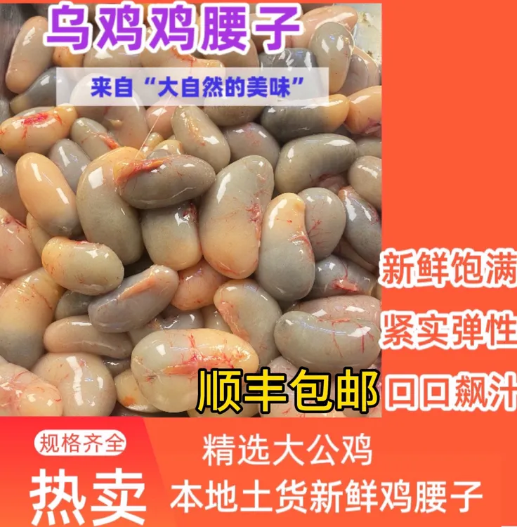广西广东包邮（包新鲜）广西南宁乌鸡腰鸡宝公鸡蛋鸡子鸡卵鸡肾