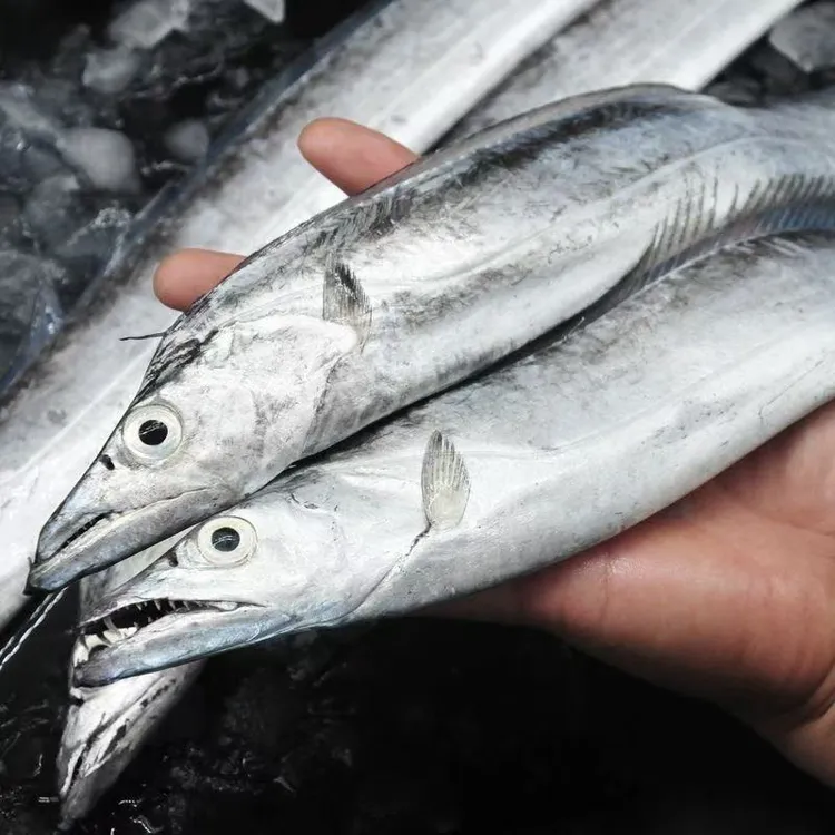 【净10斤】正宗渤海湾带鱼（大号）新鲜野生刀鱼无冰速冻 个别又破肚