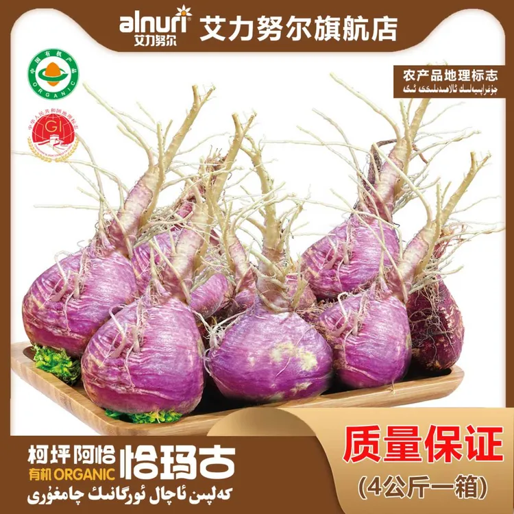 新疆艾力努尔柯坪阿恰恰玛古碱性柯坪紫皮恰玛古新鲜营养丰富芜菁