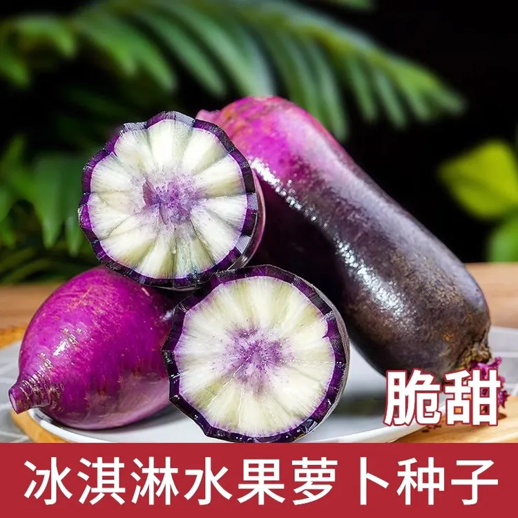 冰淇淋水果萝卜种籽夏季耐热抗热冰激凌冰糖心萝卜种子孑
