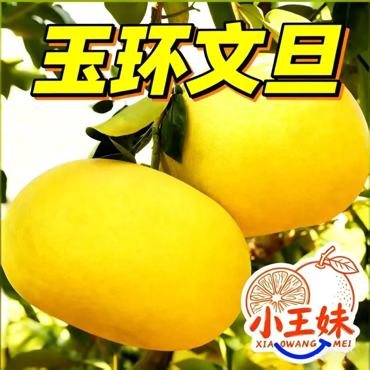 2~10斤玉环文旦柚产地早熟清香新鲜饱满几乎纯甜应季水果基地直发