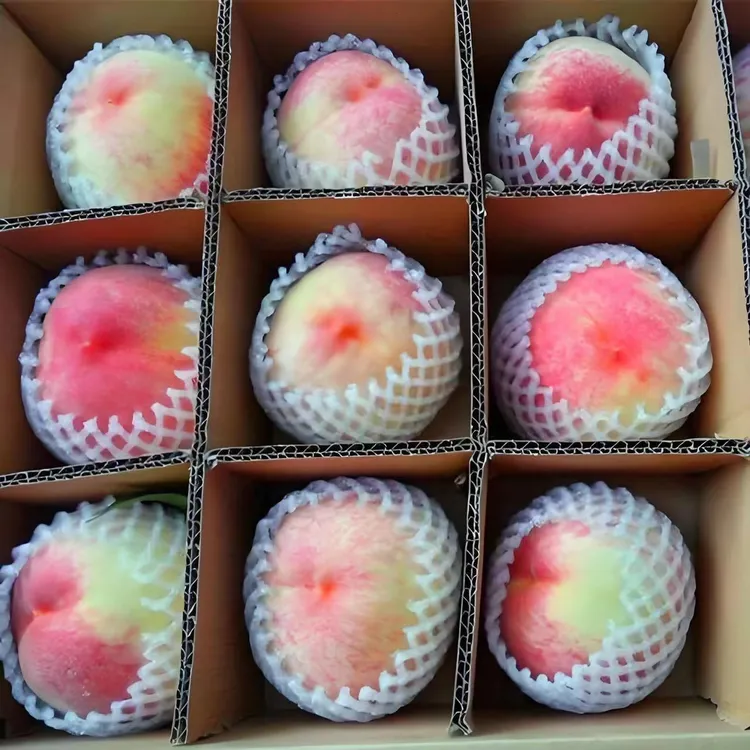 【顺丰现货】新鲜应季5斤水蜜桃脆甜当季水果桃子香甜多汁包邮