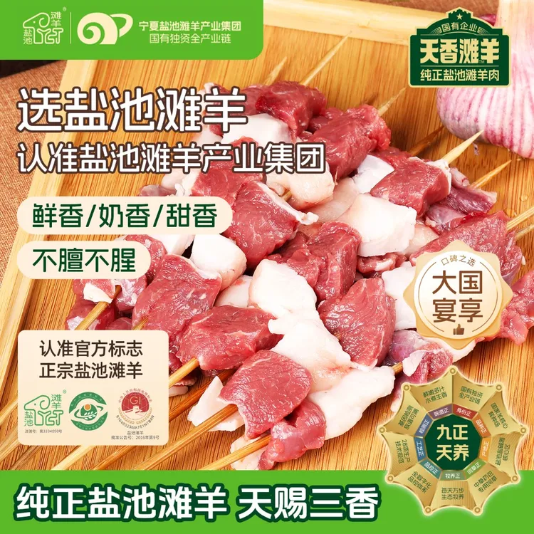盐池滩羊肉串宁夏盐池滩羊肥瘦相间原切羊肉烧烤清真滩羊240g*2袋
