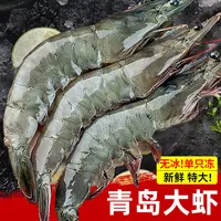 20/30盐冻虾青岛特大白虾鲜活速冻净重2.7斤（40只左右）