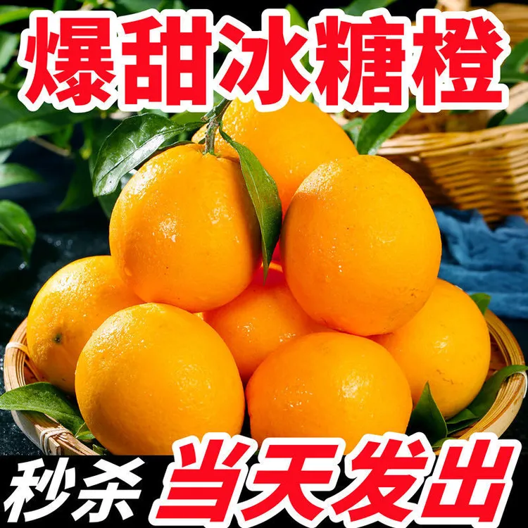 橙子湖南麻阳冰糖橙薄皮5斤/10斤水果脐橙爱媛果冻橙批发工厂批发