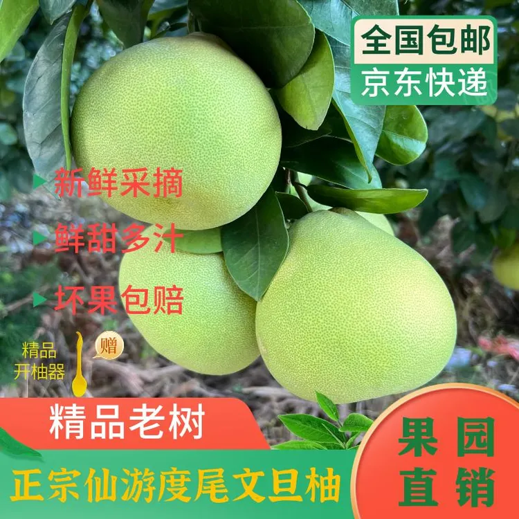 【京东包邮】福建度尾文旦柚老树红心文旦柚福建柚子应季文旦柚子
