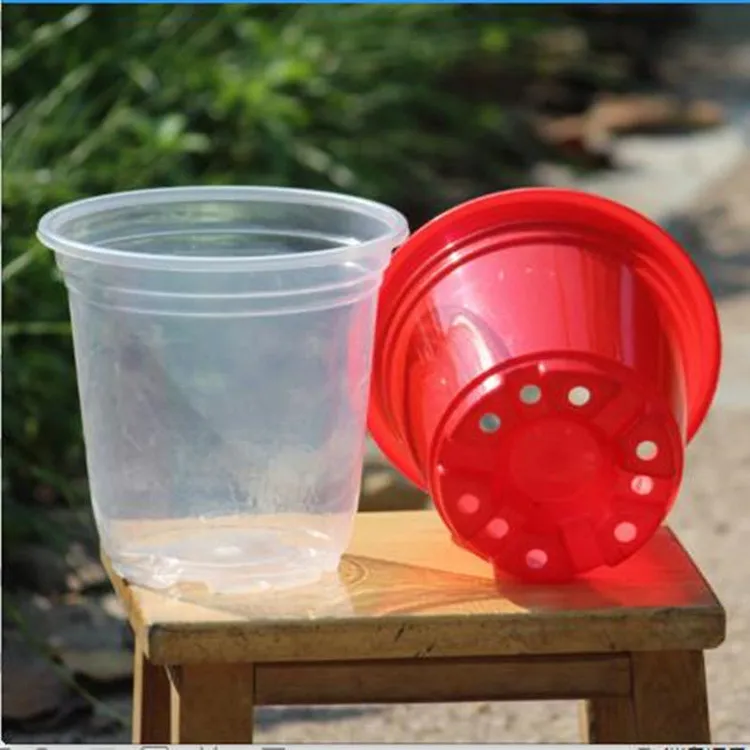 绿萝懒人花盆自吸水塑料园艺净化水培透明储水培植物吊兰圆形花盆