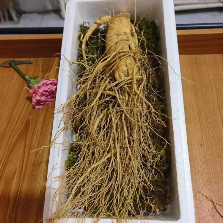 长白山鲜人参 单支3-4两 泡酒 煲汤   送礼包邮