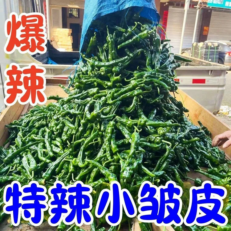 安徽特辣辣椒新鲜蔬菜薄皮青椒超辣香辣小皱皮炒辣子鸡现摘现发