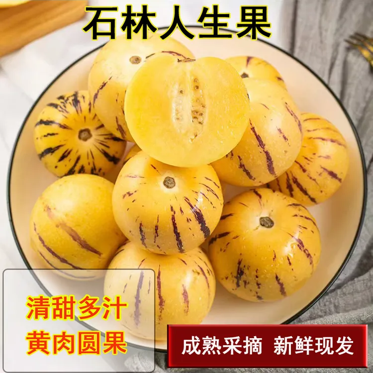 云南石林人生果树上熟黄肉果清甜多汁新鲜水果 
