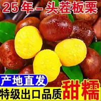 新鲜现摘头茬板栗香甜粉面好剥皮口感香糯