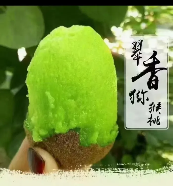 正宗陕西周至翠香猕猴桃新鲜应季多汁香甜绿心水果
