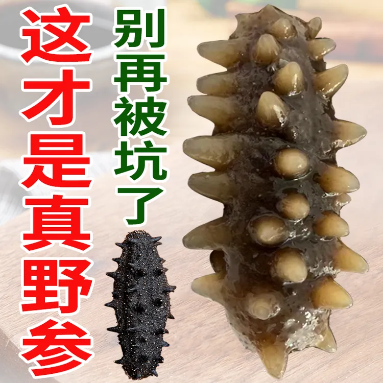 海味臻海参干货500g长岛野参淡干刺参非大连辽参即食鲜活礼盒