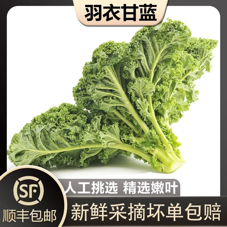 【顺丰/京东包邮】新鲜羽衣甘蓝菜 嫩叶kale健身榨汁蔬菜羽衣甘兰