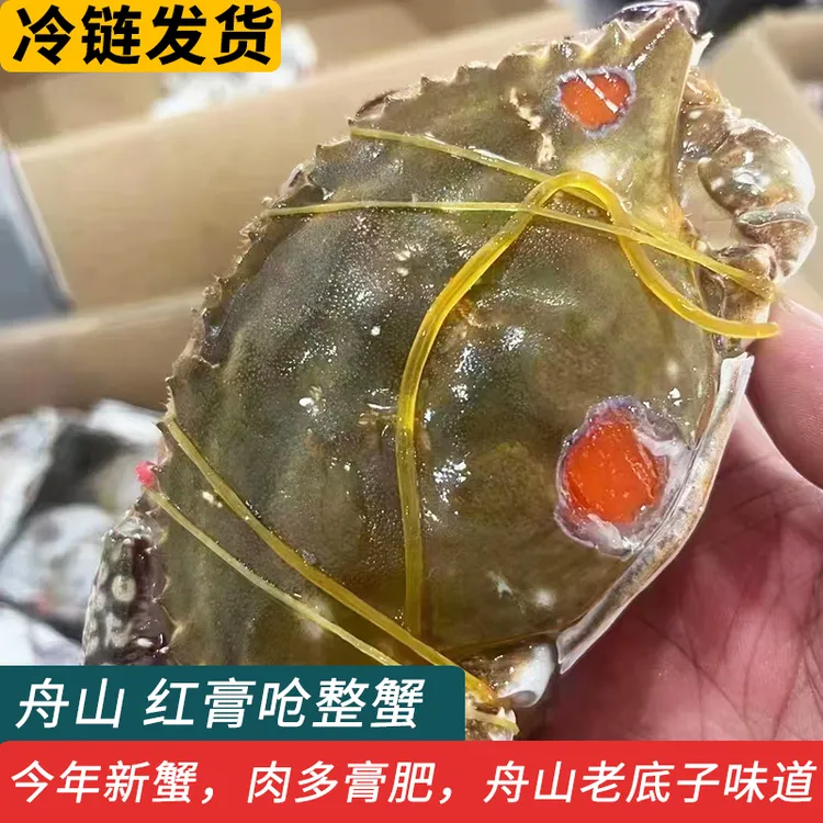 舟山红膏呛蟹生腌蟹醉蟹酱蟹酱母蟹宁波红膏呛蟹炝蟹特产咸呛蟹糊