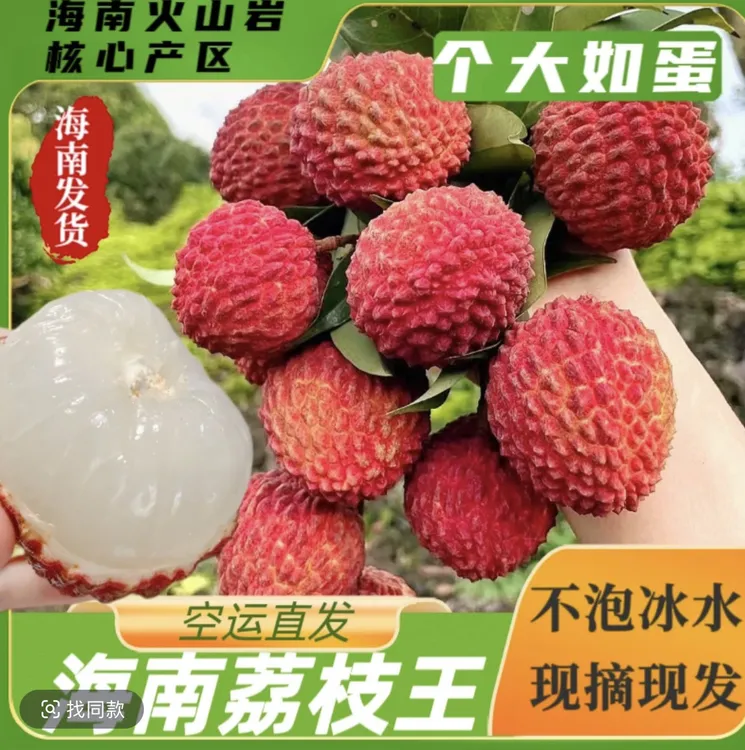 正宗海口火山岩荔枝王大果鲜甜肉厚4.5斤净重礼盒装空运包邮