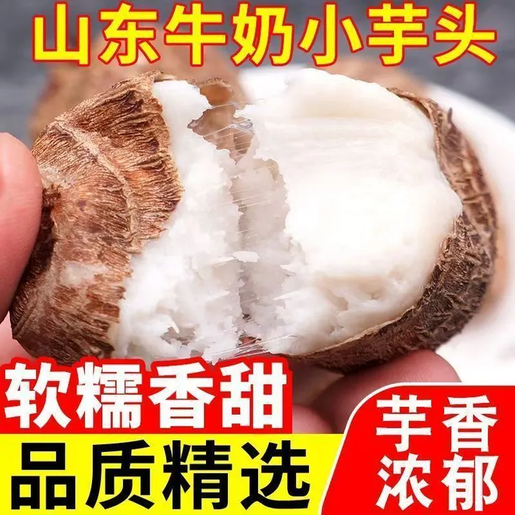 2025年当季新鲜芋头山东牛奶小芋头子毛芋头农家竽头芋艿芋仔蔬菜