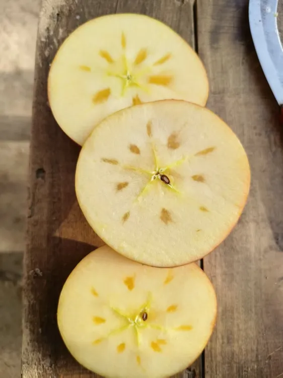 阿克苏冰糖心苹果纯甜无酸产地直发