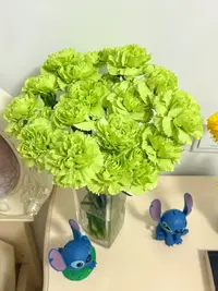 【源头优选】绿色单头康乃馨云南直发鲜花家居水养插花鲜切花