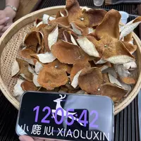 2024新会梅江圈枝大红新皮 ①小鹿收茶  新会新皮 9月15/2