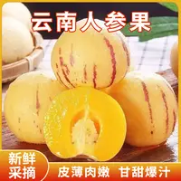 云南新鲜人参果单果100g以上带箱5斤当季水果甜蜜多汁产地直发