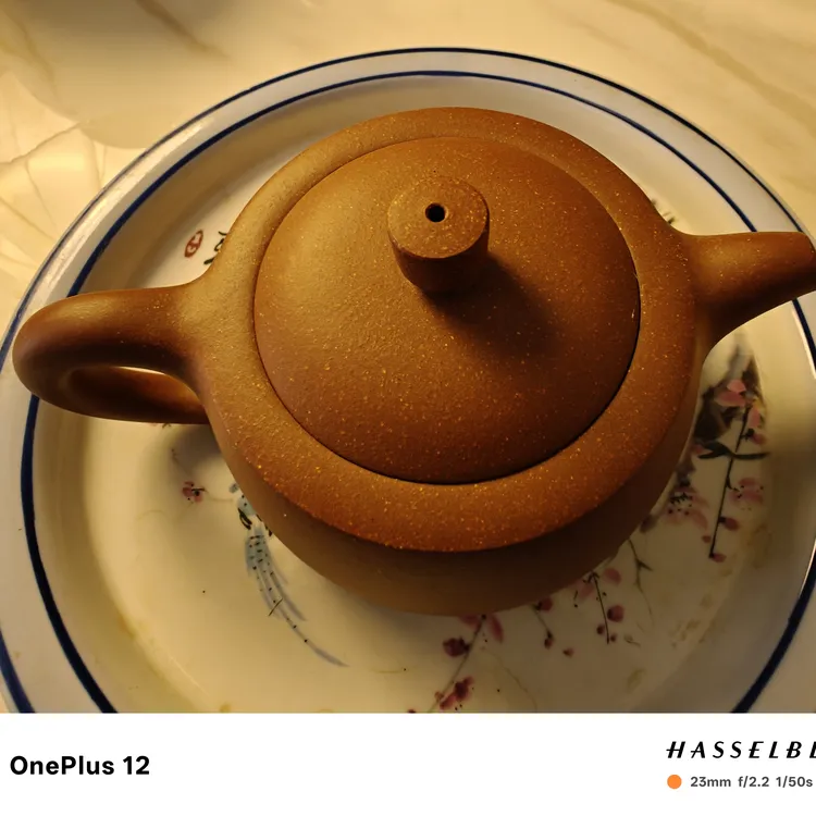 民间艺人曹红仙用黄龙山紫泥和段泥共生矿制作的一把紫砂壶