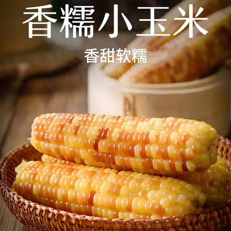 【王品】云南西双版纳香糯小玉米2斤普装/4斤礼盒装（单果110-220g）